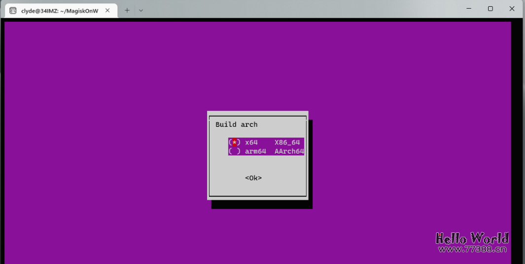 个性化安装WSA:找回你需要的Google服务和Magisk